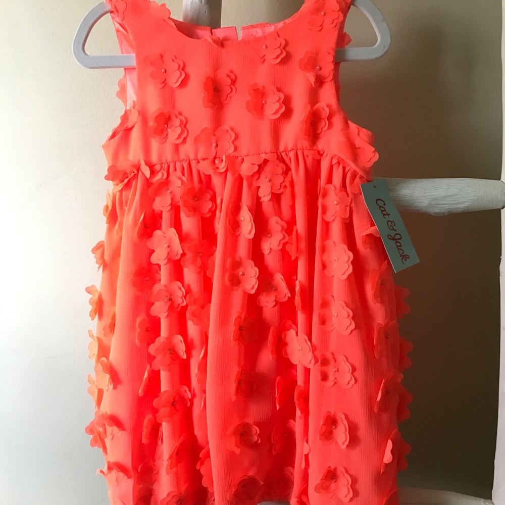 Cat & Jack Dress with 3- D flowers